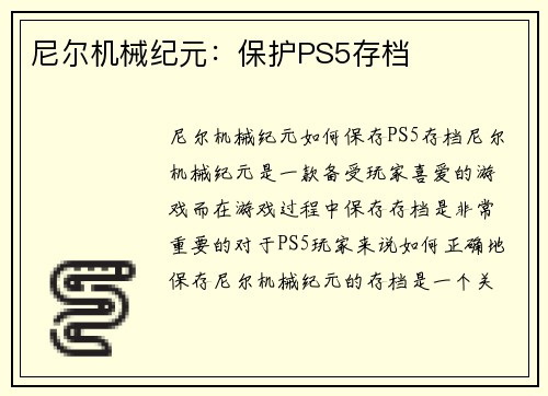 尼尔机械纪元：保护PS5存档